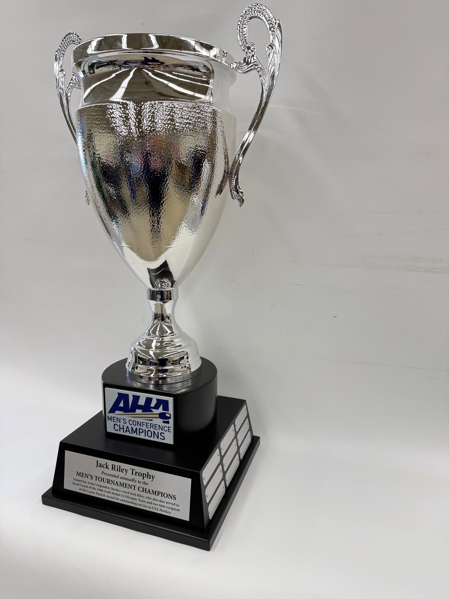 Giant silver cup on black wood base