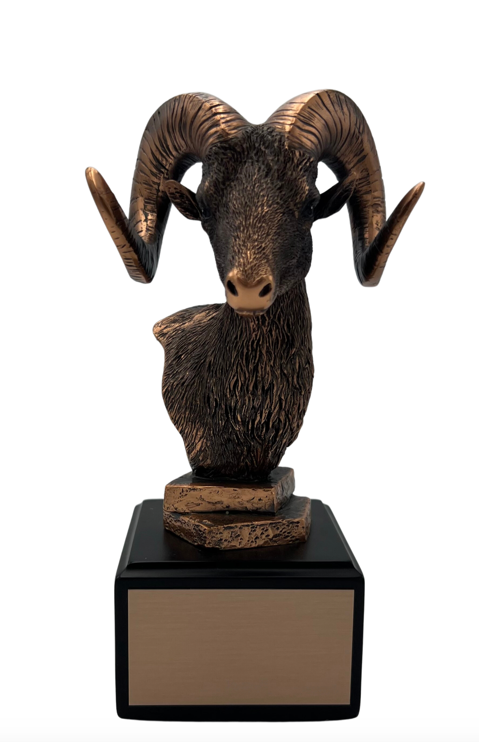 Antique Bronze Ram Head