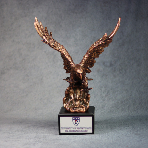 Bronze Eagle Award In Flight