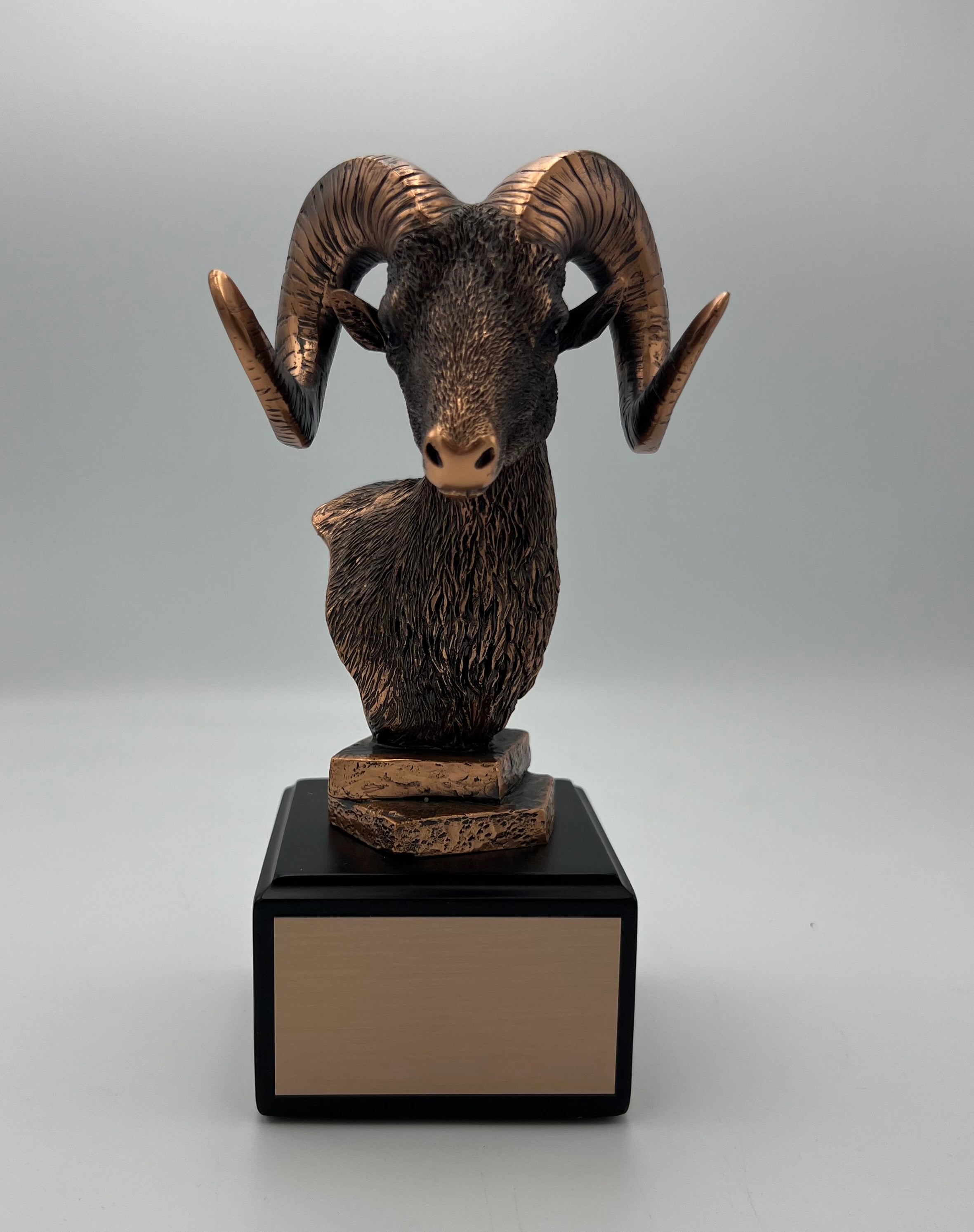 Antique Bronze Ram Head