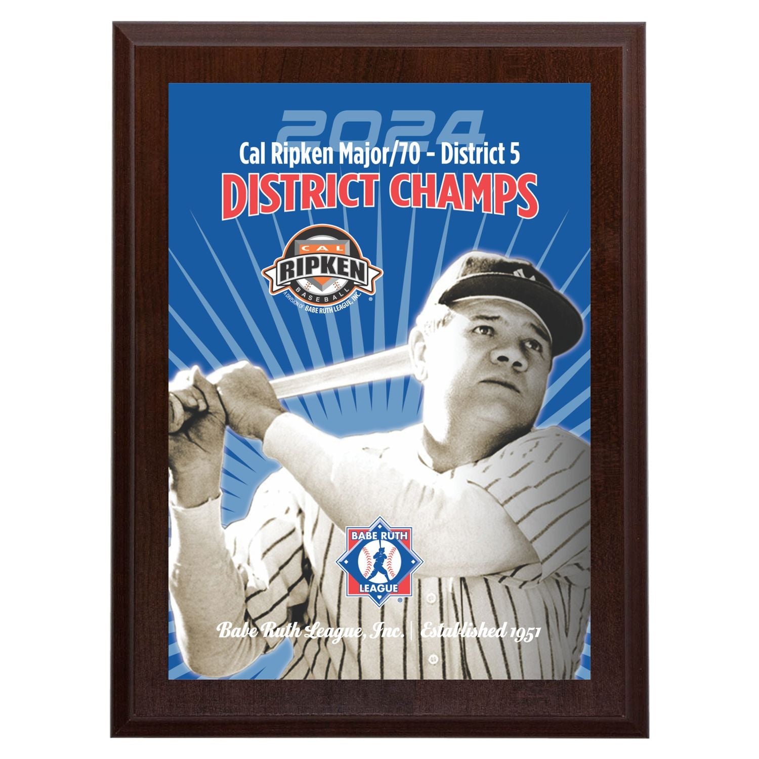 Babe Ruth Full Color District Award Plaque