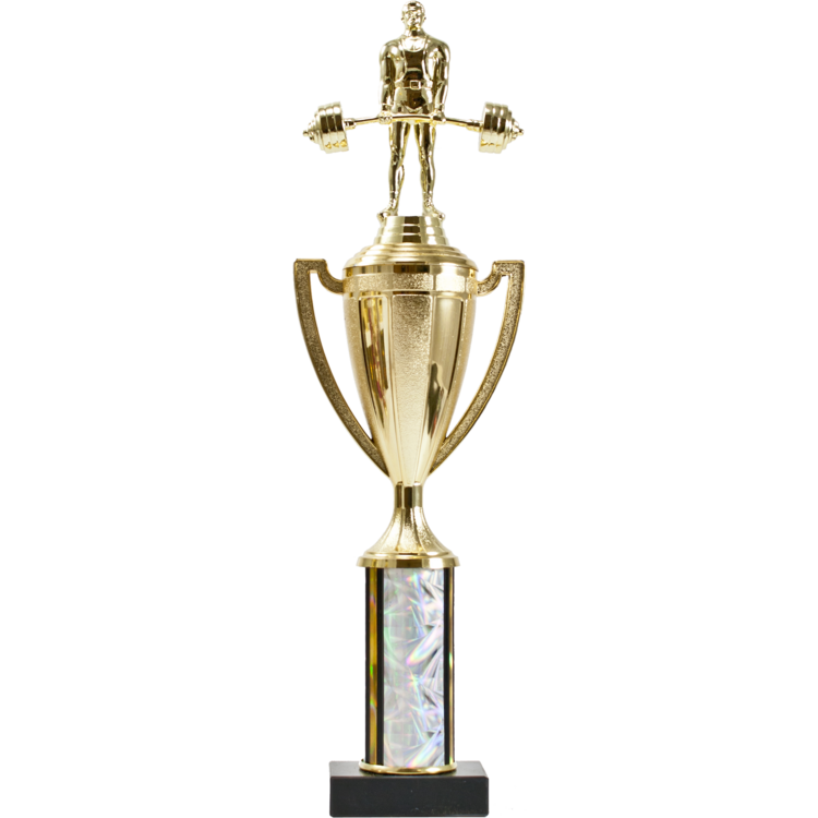 Cup Series Round Column Trophy